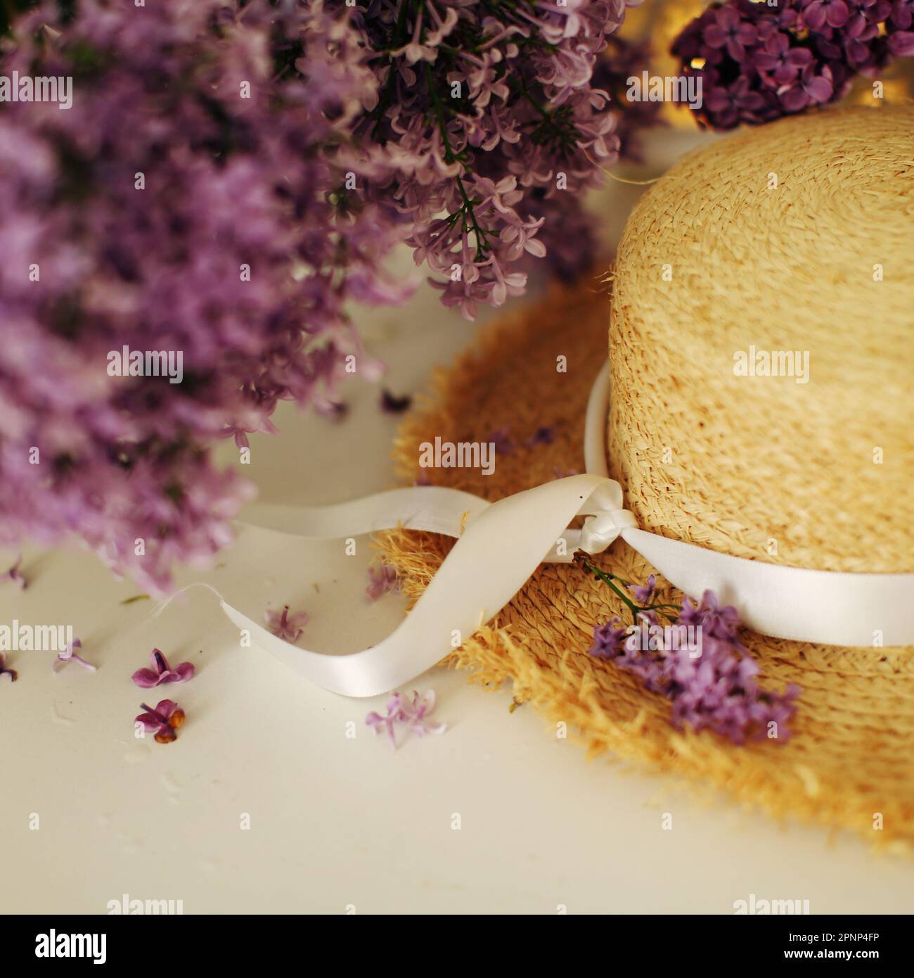 fleurs lilas debout près d'un chapeau de paille sur fond blanc Banque D'Images