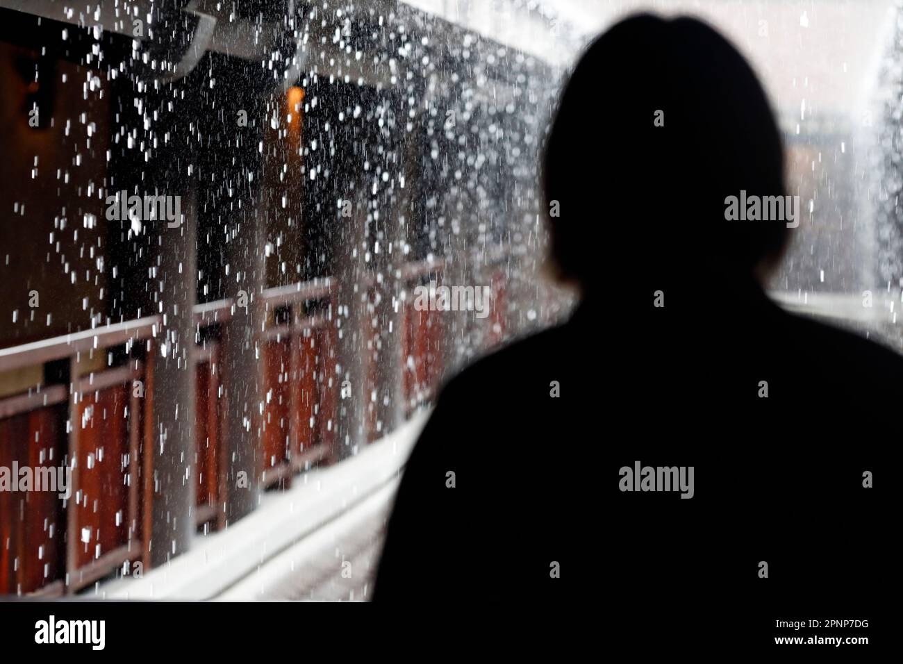 Silhouette noire et blanche de femme regardant la pluie pendant la saison des pluies. Silhouette noire et blanche de la femme regardant la pluie pendant la r Banque D'Images