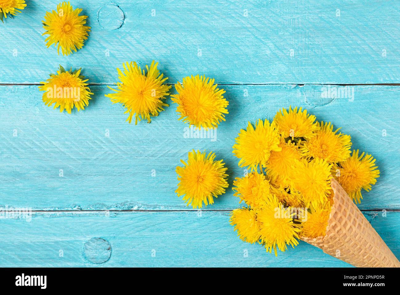 Cône de crème glacée avec fleurs de pissenlit jaune et boutons sur fond bleu pastel. Concept vacances de printemps. Pose à plat. Vue de dessus. Mise en page créative Banque D'Images
