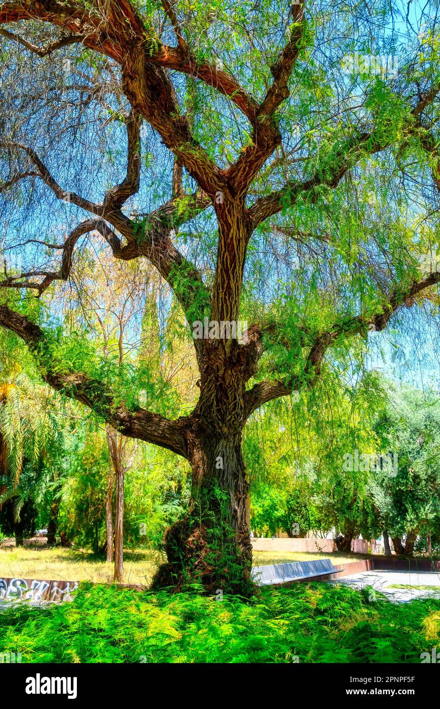 Valence, Espagne - 17 juillet 2023: Le jardin de l'ancien hôpital, une attraction touristique. Banque D'Images