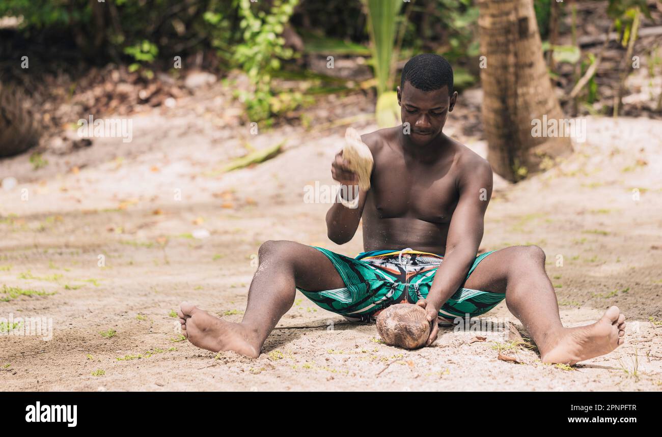 Homme noir pieds nus en short frappant une noix de coco avec une pierre lors d'une journée d'été à la plage. Entouré d'une végétation tropicale luxuriante Banque D'Images