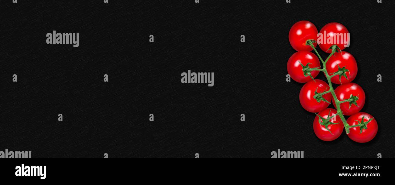 Branche de tomate sur fond sombre. Longue bannière horizontale Banque D'Images