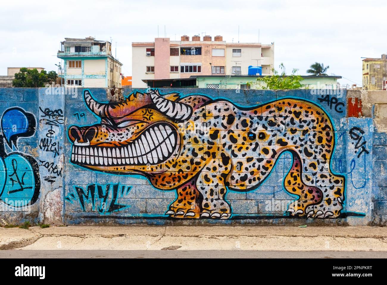 La Havane, Cuba - 12 avril 2023: Art urbain ou graffiti sur un mur de clôture. Banque D'Images