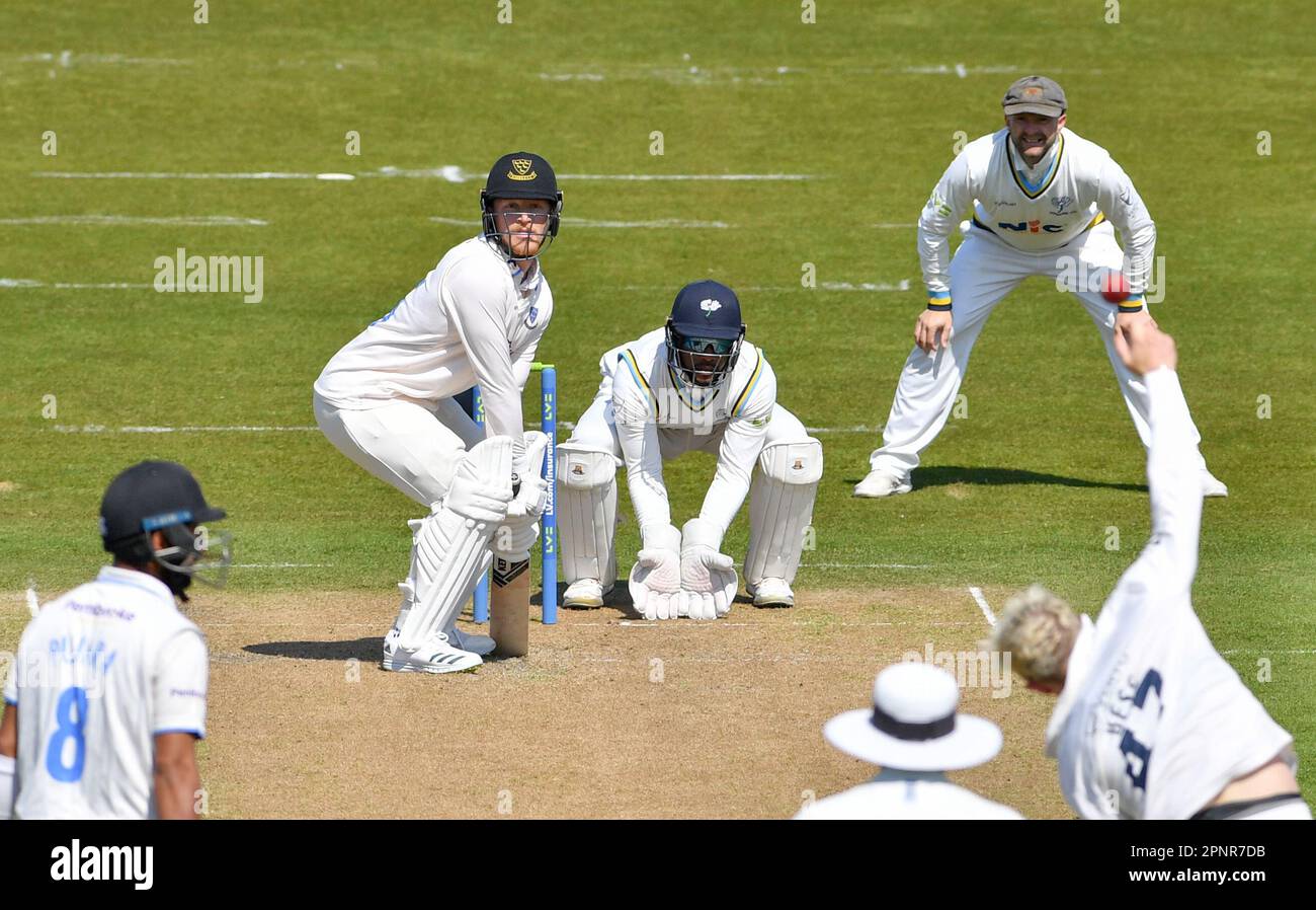 Hove UK 20th avril 2023 - Tom Alsop batting pour Sussex contre le Yorkshire pendant le LV= Insurance County Championship cricket match au 1st Central County Ground à Hove : crédit Simon Dack /TPI/ Alay Live News Banque D'Images