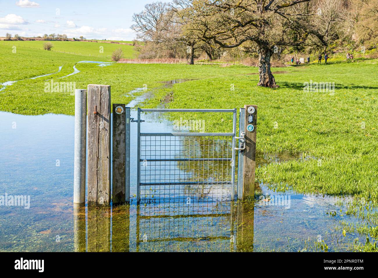 Une porte sur le sentier national Thames Path sous l'eau près de la source de la Tamise à Thames Head sur les Cotswolds près de Kemble, Gloucestershire Banque D'Images