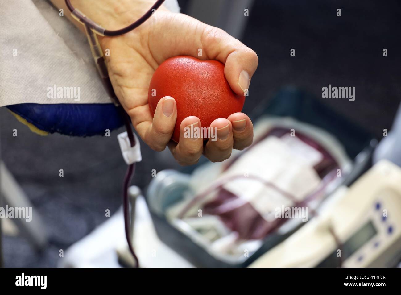Homme donneur de sang dans la chaise pendant le don avec boule rouge bouncy en main, foyer sélectif. Concept de don, de transfusion, de soins de santé Banque D'Images