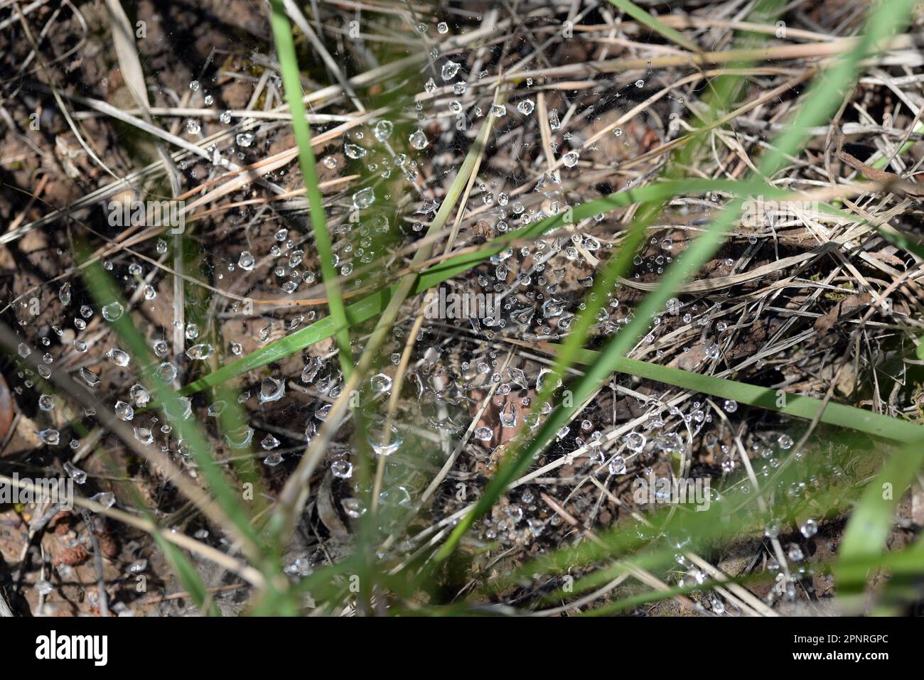 La Valette du Var F 83 Banque D'Images
