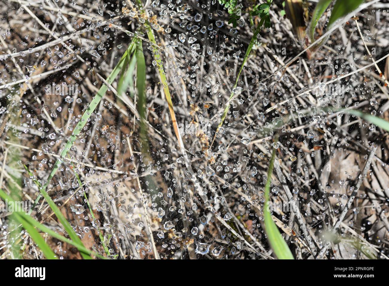 La Valette du Var F 83 Banque D'Images