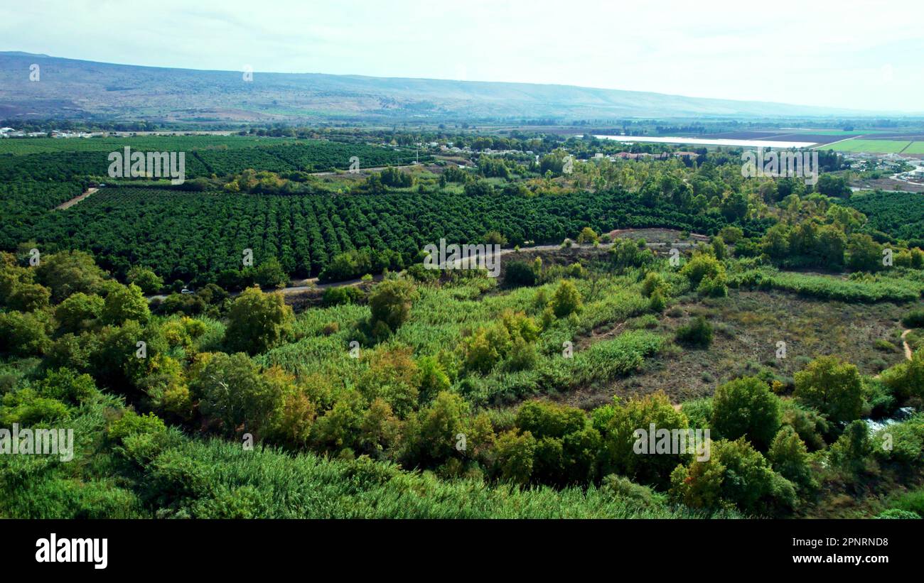 Champs agricoles et vergers de la vallée de la Hula et du plateau du Golan Banque D'Images