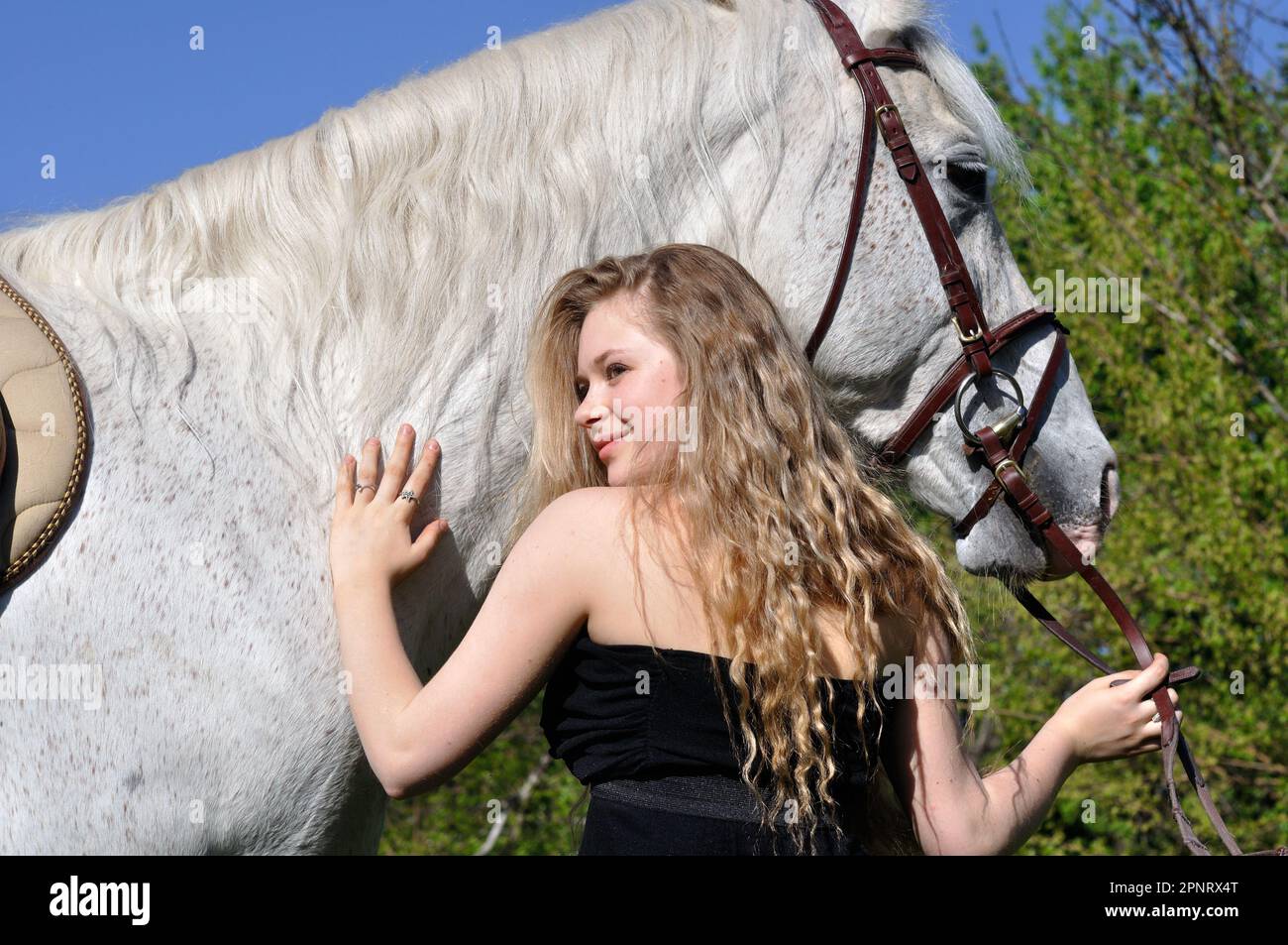 portrait d'une fille blonde avec de longs cheveux et un cheval blanc par temps ensoleillé Banque D'Images