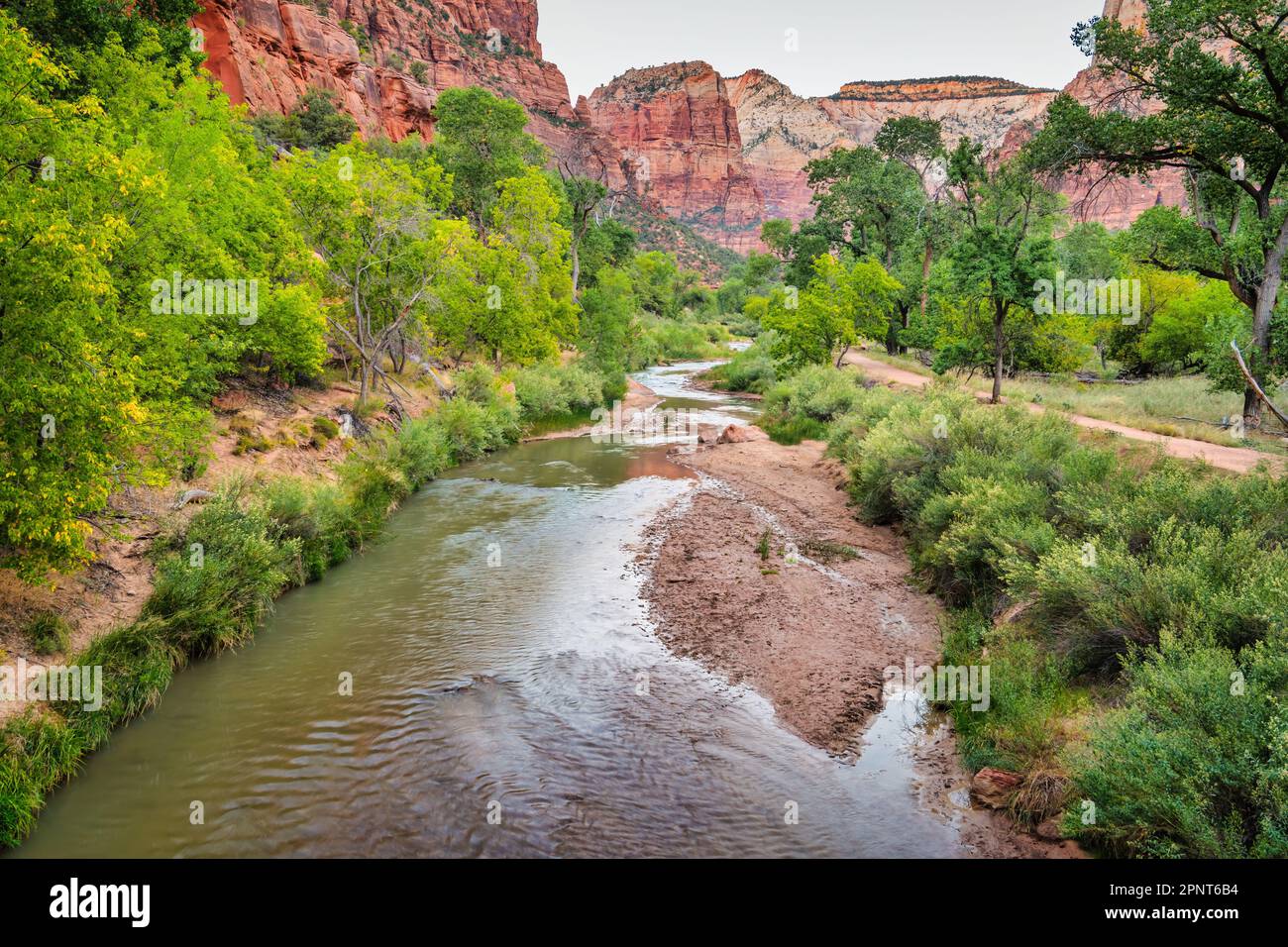 Virgin River dans le parc national de Zion, Utah, États-Unis. Banque D'Images