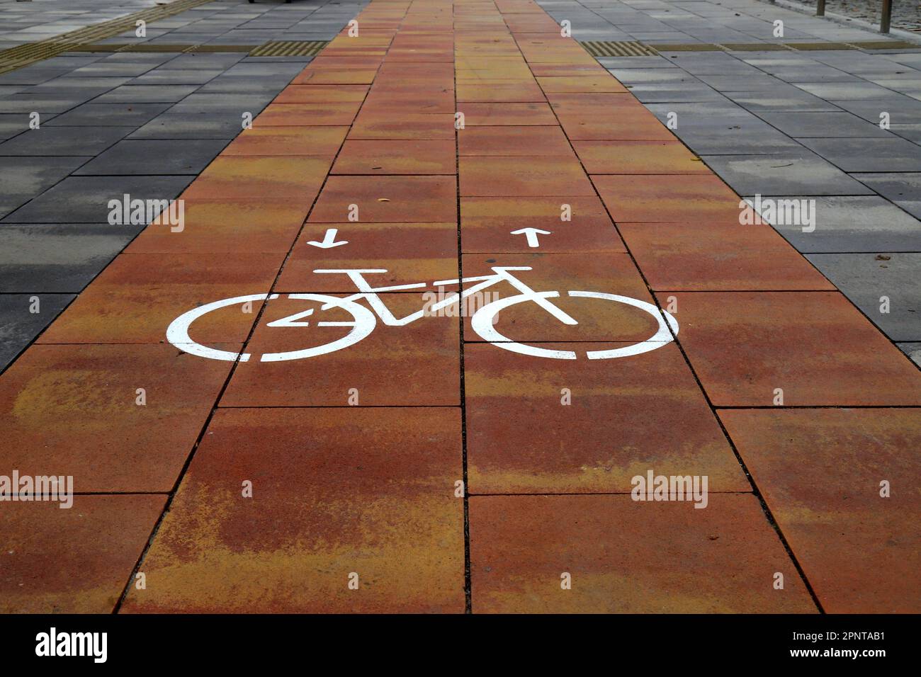Symbole de la piste cyclable peint sur la route, icône de la piste cyclable, Dnipro, Ukraine Banque D'Images