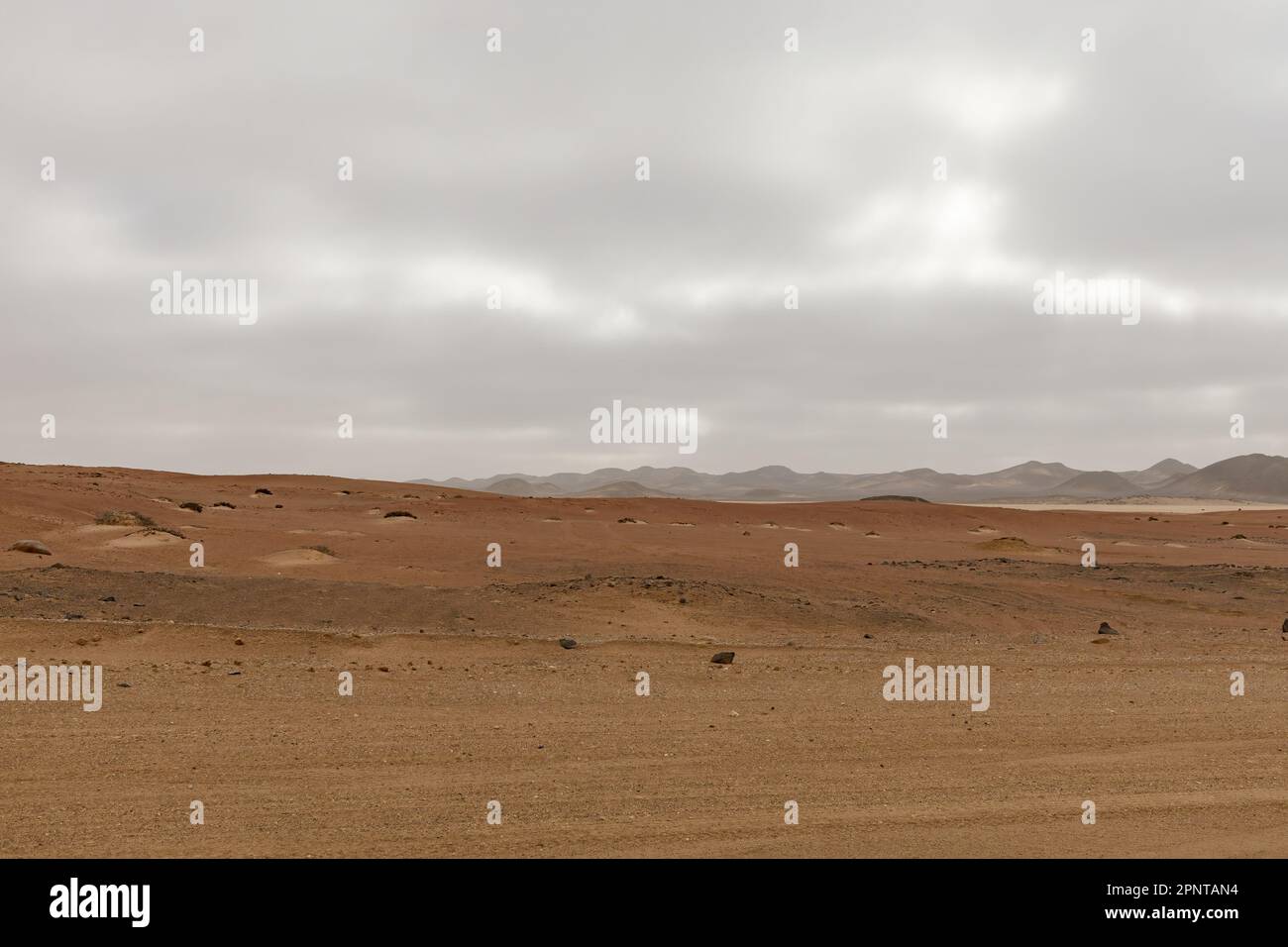 Vue panoramique sur un paysage désertique en Namibie Banque D'Images