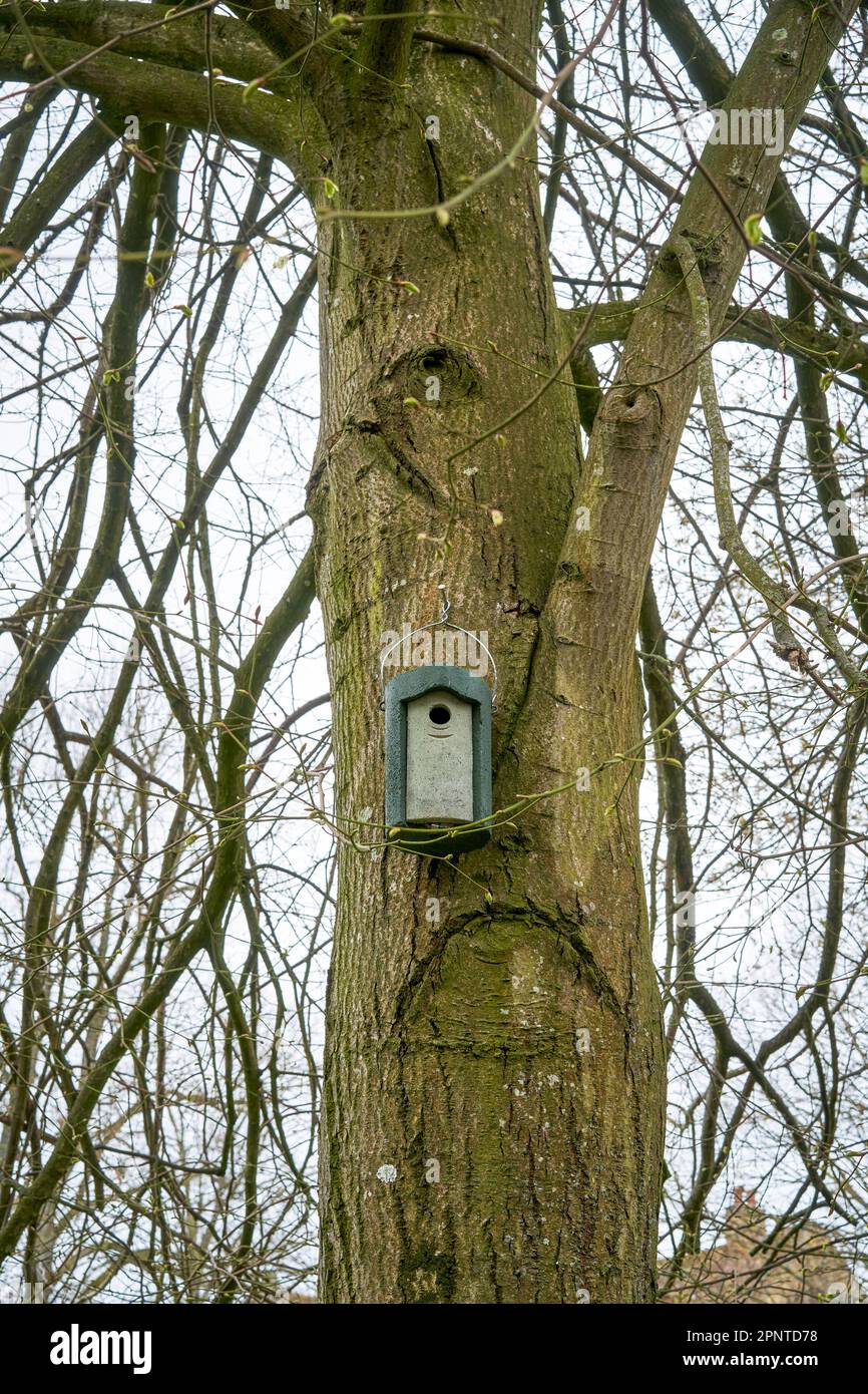 Petite boîte de nidification pour oiseaux fixée à un arbre Banque D'Images