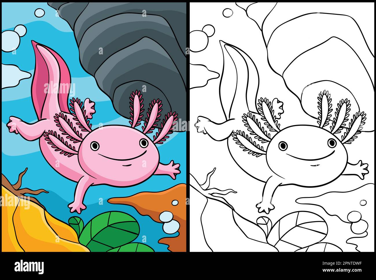 Coloration axolotl page colorée Illustration Illustration de Vecteur