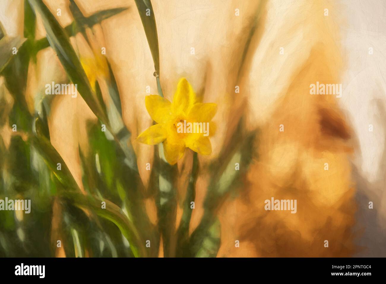Peinture numérique d'une belle jonquille jaune dans un environnement naturel. Banque D'Images Peinture numérique d'une belle jonquille jaune dans un environnement naturel. Banque D'Images