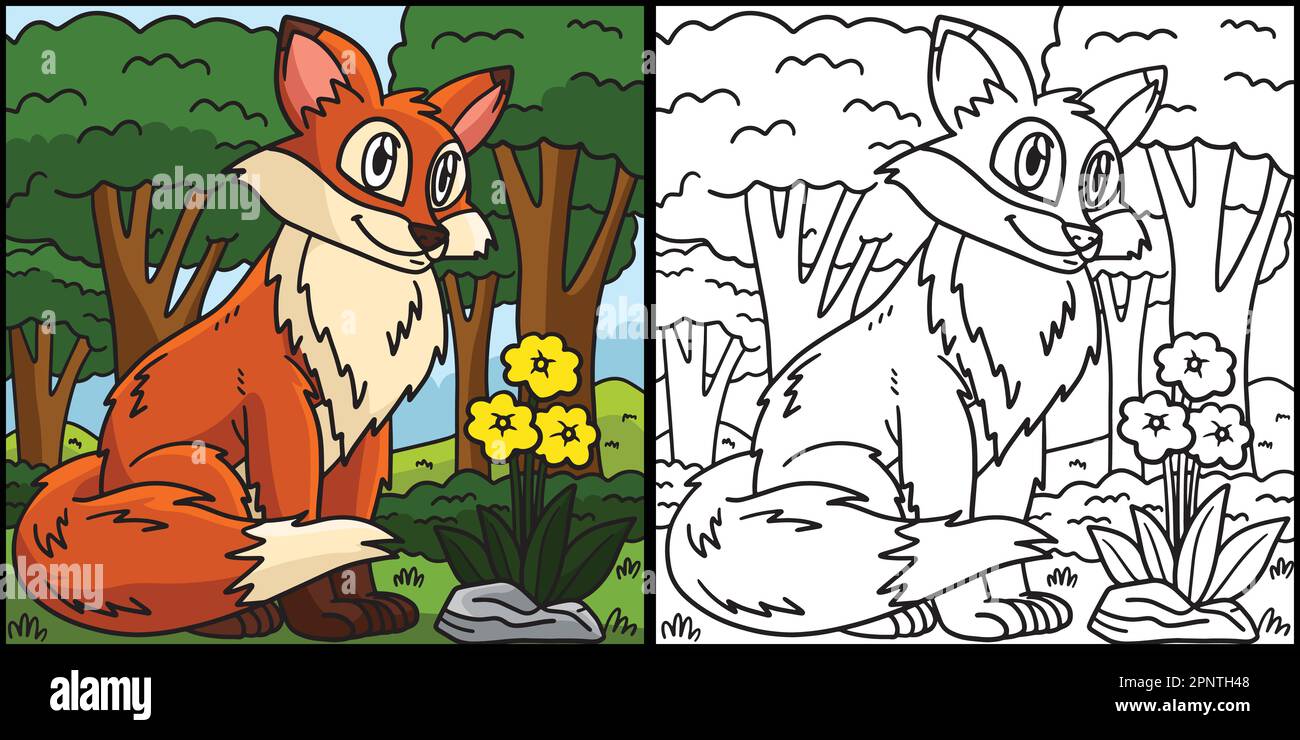 Fox coloriage page Illustration colorée Illustration de Vecteur