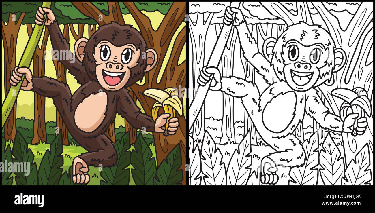 Page de coloriage Monkey Illustration colorée Illustration de Vecteur