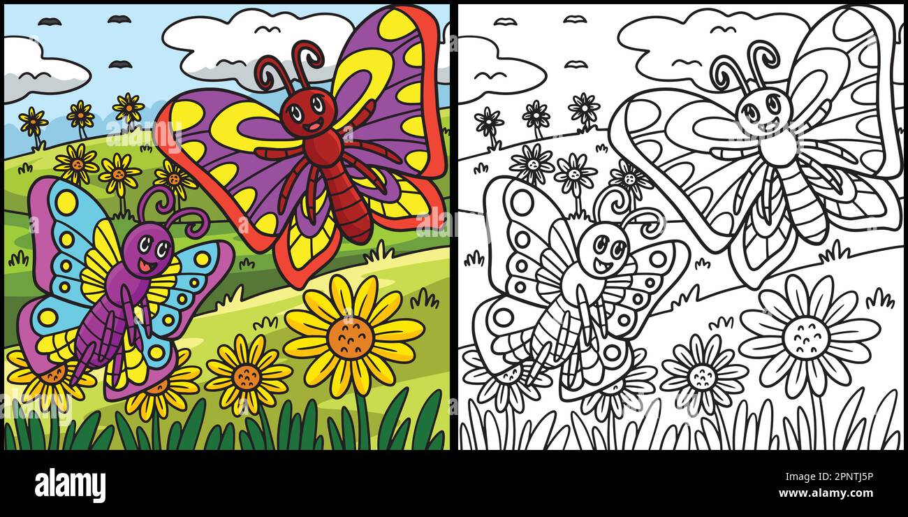 Page de coloriage papillon Illustration colorée Illustration de Vecteur
