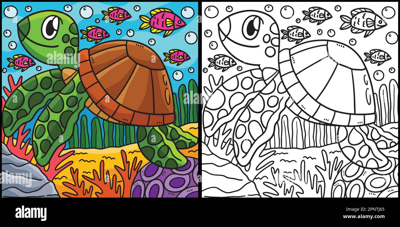 Tortue coloriage page Illustration colorée Illustration de Vecteur
