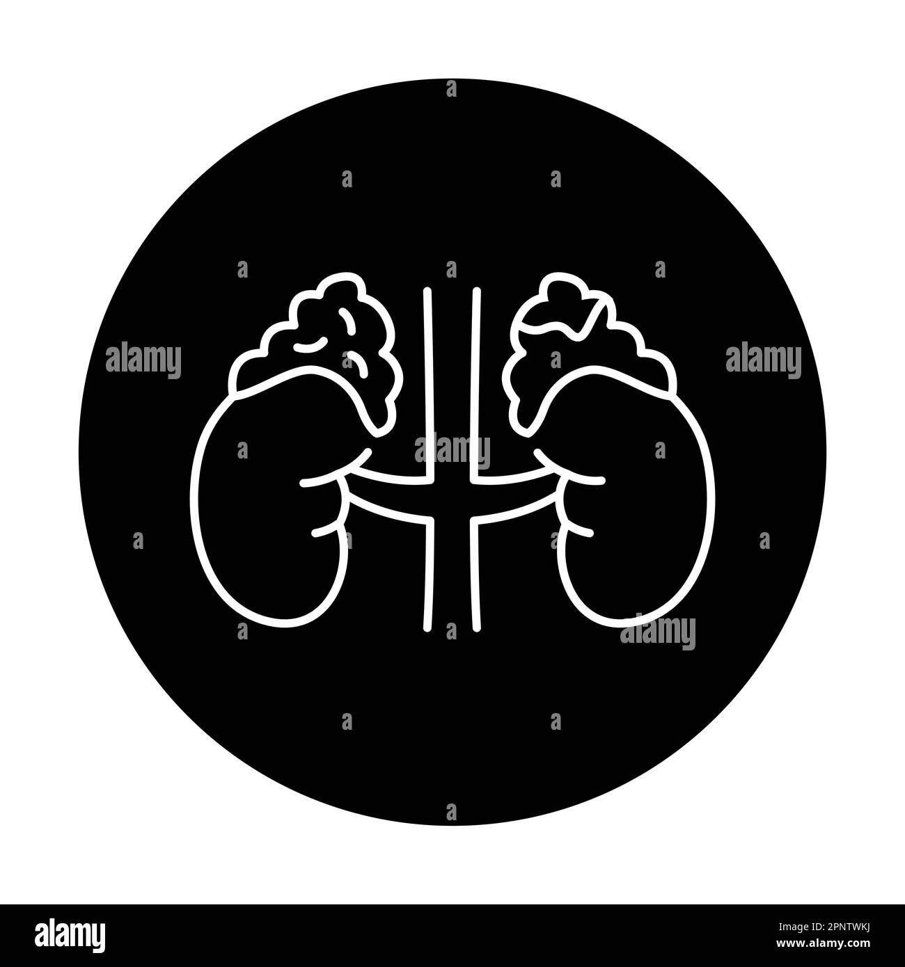 Icône de la ligne de couleur du syndrome de cortisol Сushing. Maladies humaines. Pictogramme pour page Web, application mobile, Promo. Illustration de Vecteur