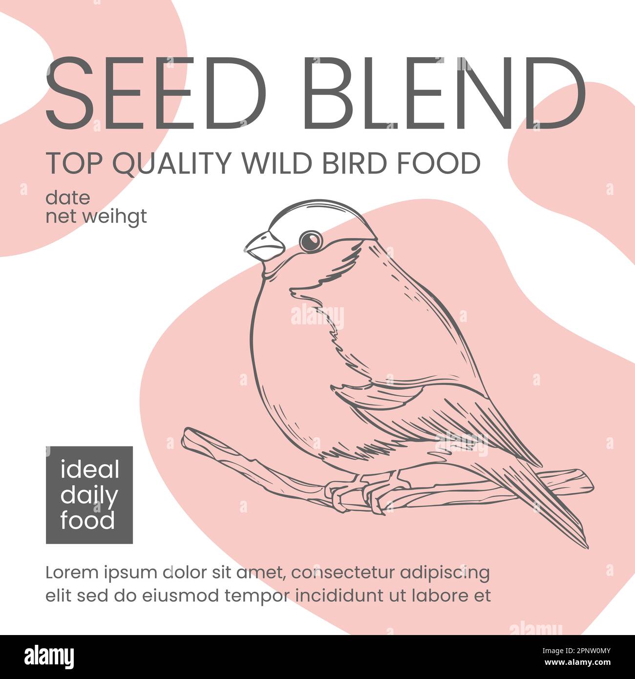 WILD BIRD FOOD EMBALLAGE DESIGN Bullfinch Sketched Modern Design avec Abstract Elements Illustration vectorielle pour impression modèle monochrome avec Pink Co Illustration de Vecteur