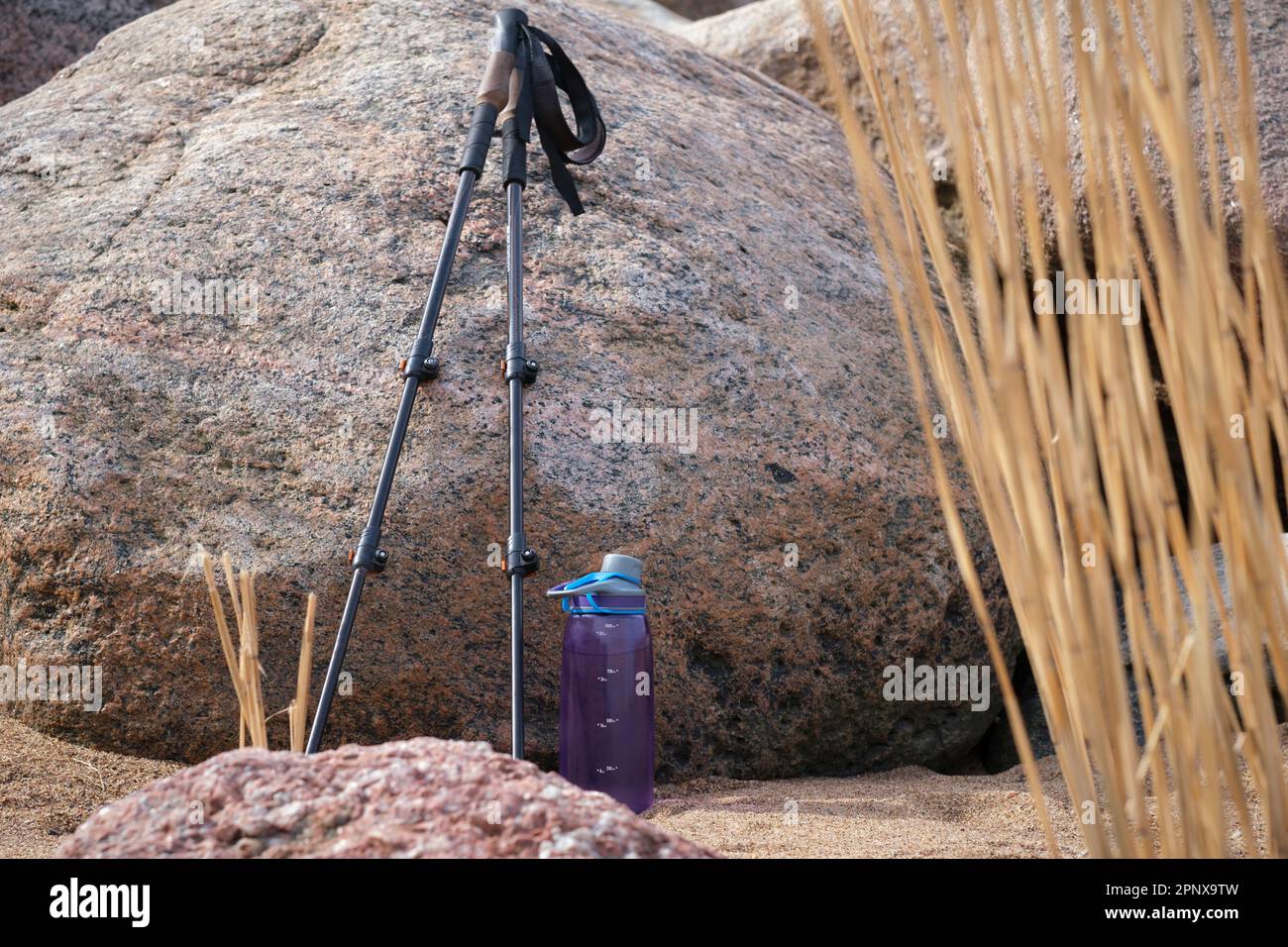 Bâtons de randonnée et bouteille d'eau dans le sable de la plage Banque D'Images