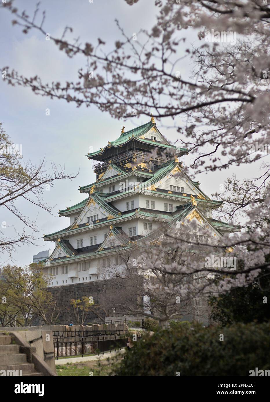 Le Château d'Osaka au cours de cherry blossom Banque D'Images