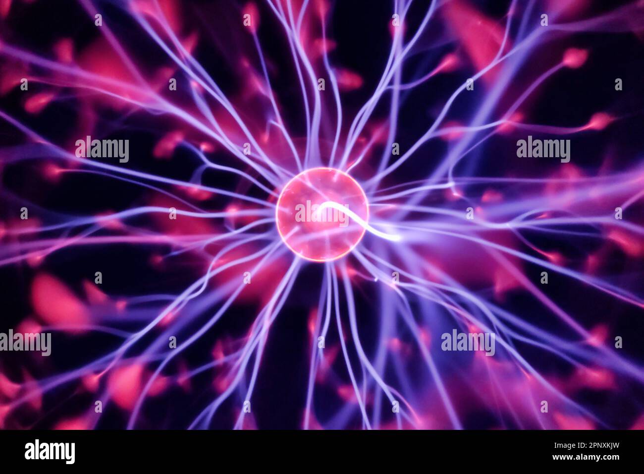 Gros plan sur la plus belle lumière de la physique, la boule de plasma. Banque D'Images