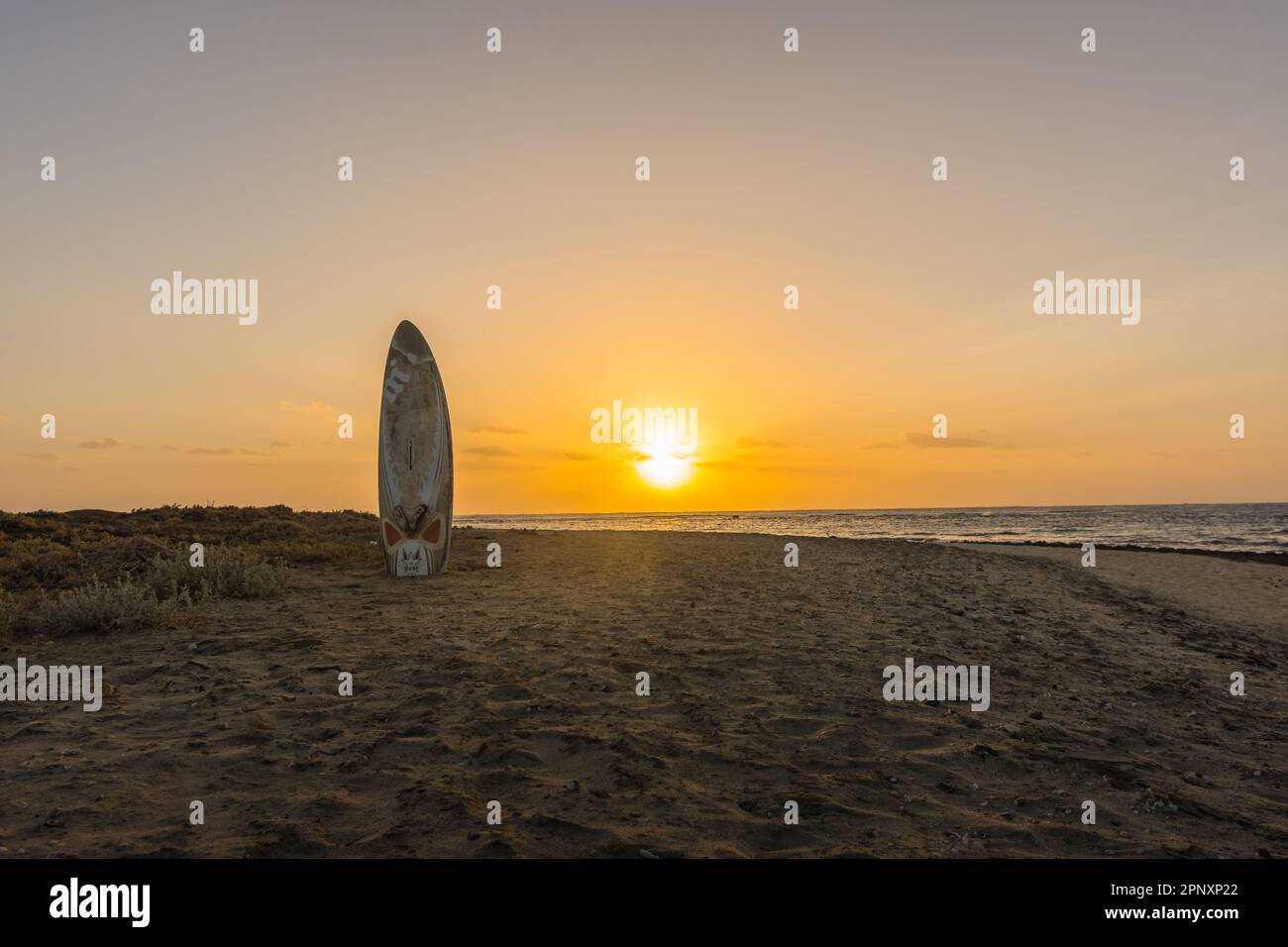 planche à voile coincée dans la plage de sable à la mer rouge en égypte après le lever du soleil Banque D'Images