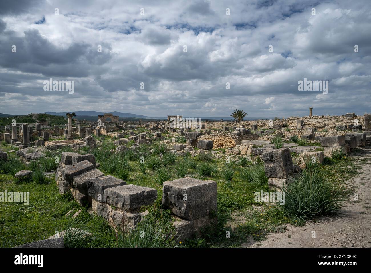 Vestiges archéologiques de l'ancienne ville romaine de Volubilis. Banque D'Images