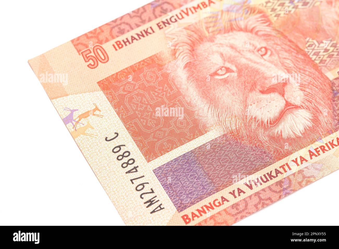 Argent sud-africain 50 rand banknote. Banque D'Images