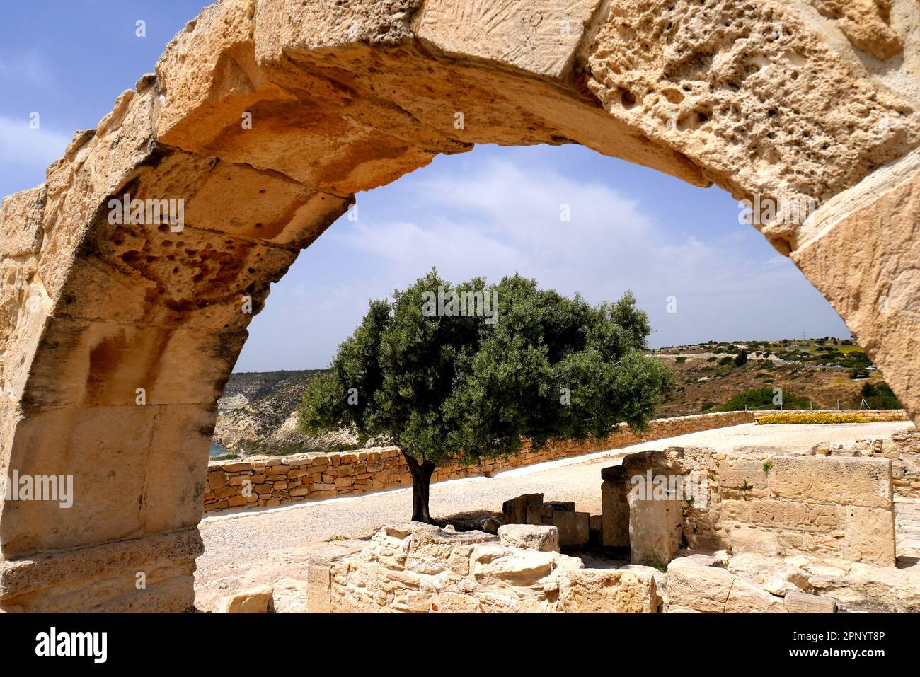 Arbre vu à travers une arche, zone archéologique de Kourion, Episkopi, district de Limassol, République de Chypre Banque D'Images