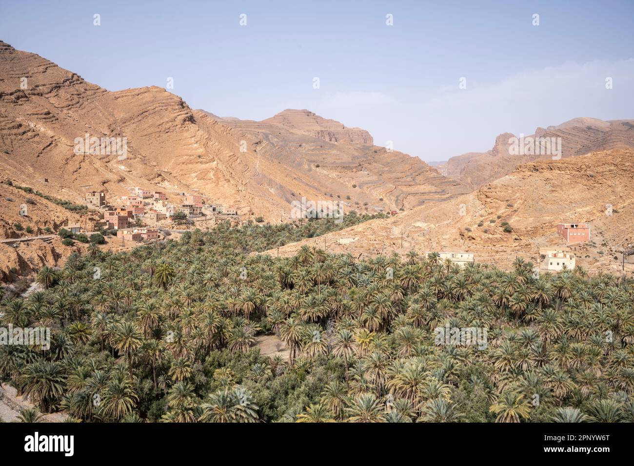 Vue sur l'oasis d'ait Mansour. Banque D'Images