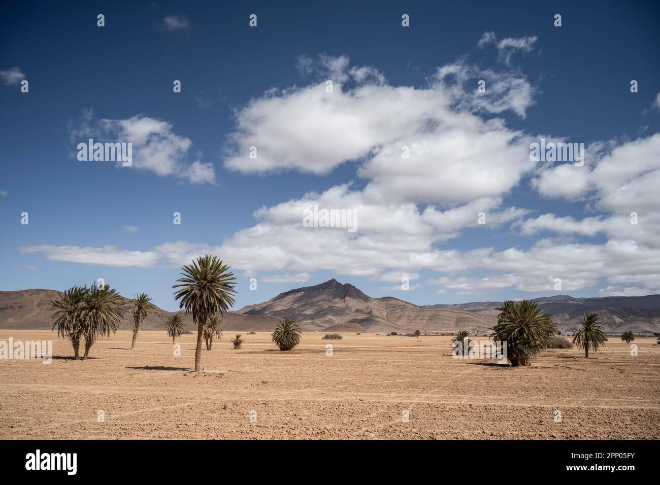 Paysage désertique à proximité d'Igiouaz. Banque D'Images