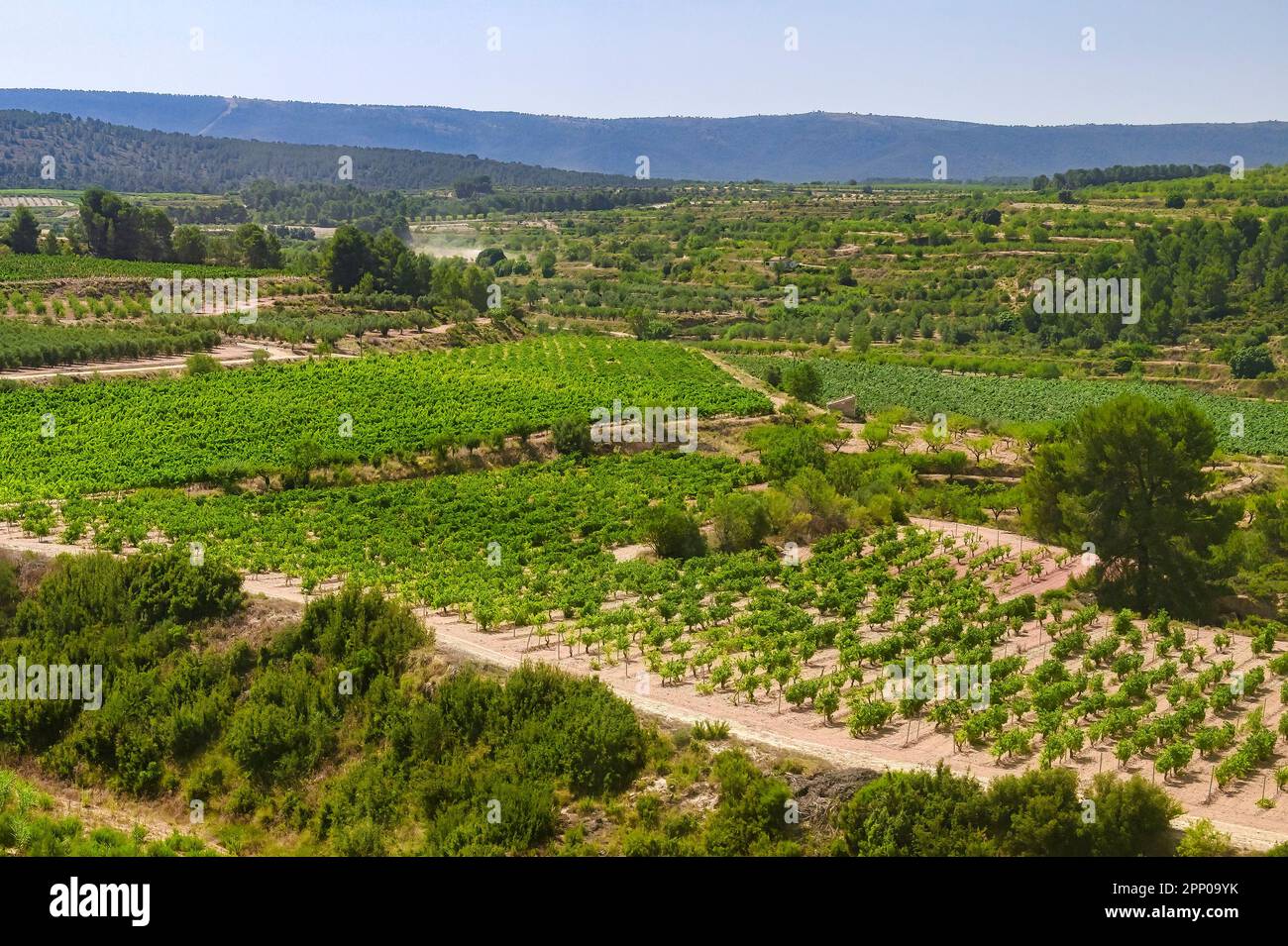 L'agriculture espagnole champ sans personne Banque D'Images