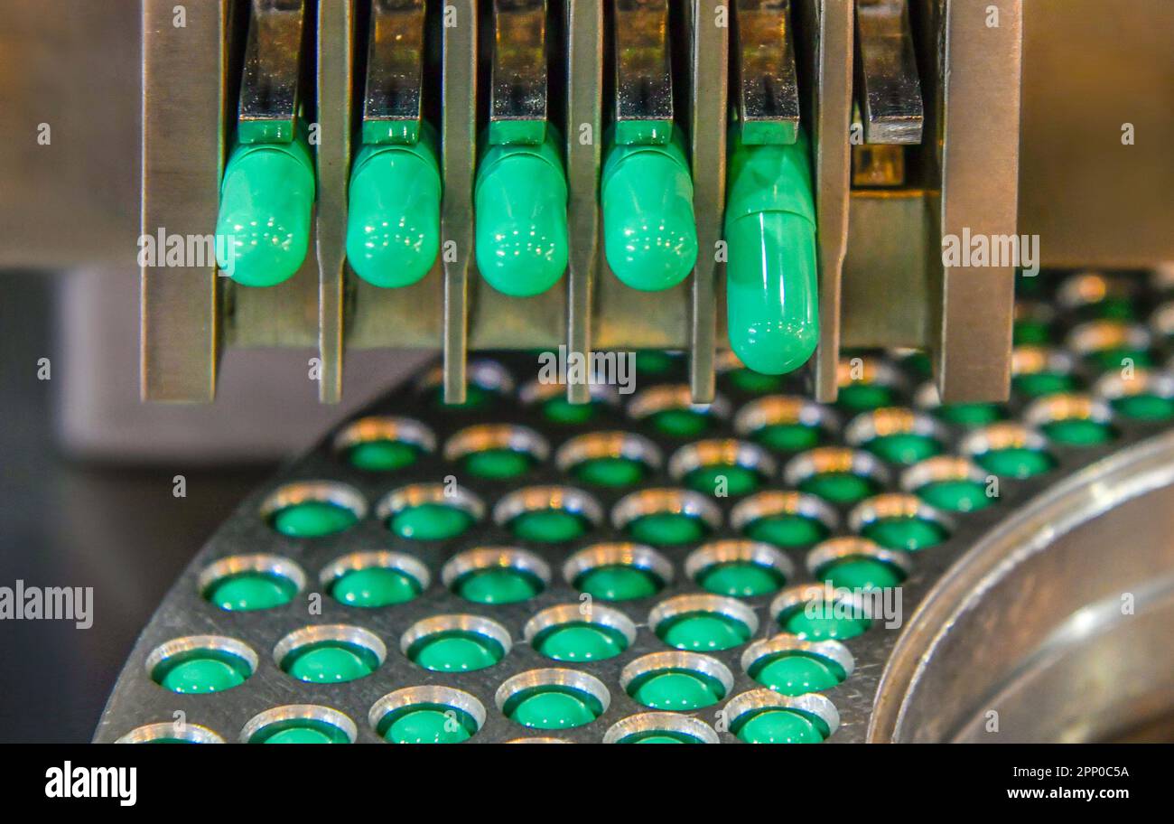 Ligne de production de pilules de médicaments à capsule verte, concept pharmaceutique industriel. Banque D'Images