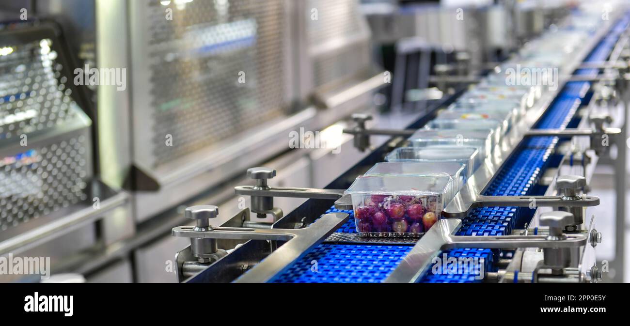 Produits alimentaires de ticket de transfert sur les systèmes de convoyage automatisés pour l'automatisation industrielle Banque D'Images