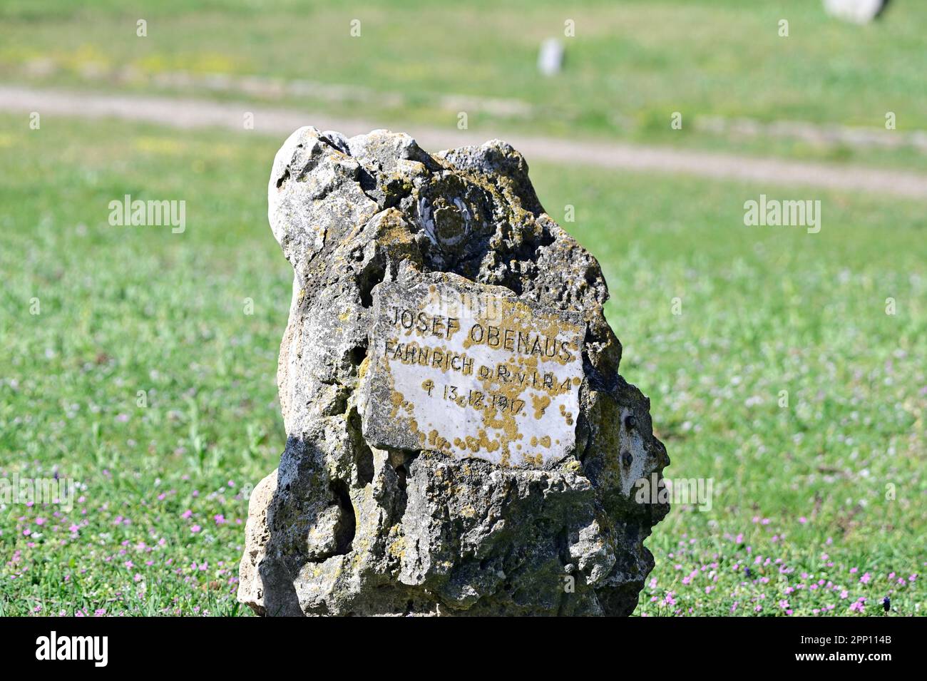 Vienne, Autriche. Cimetière central de Vienne. Tombes de soldats tombés de la première Guerre mondiale Banque D'Images
