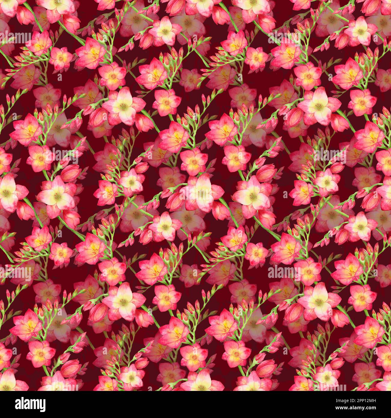 fleurs rouges freesia, belle branche de bouquet sur un fond rouge, sans couture tropic motif aquarelle illustration. Dessin pour impression sur tissu, wa Banque D'Images