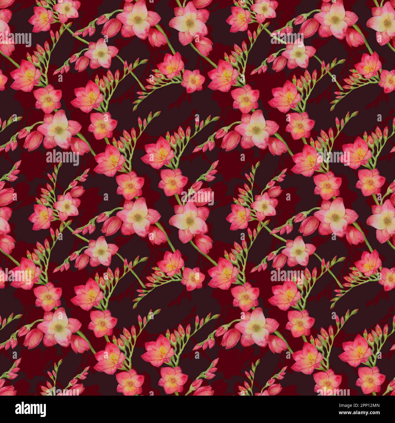 fleurs rouges freesia, belle branche de bouquet sur un fond rouge, sans couture tropic motif aquarelle illustration. Dessin pour impression sur tissu, wa Banque D'Images