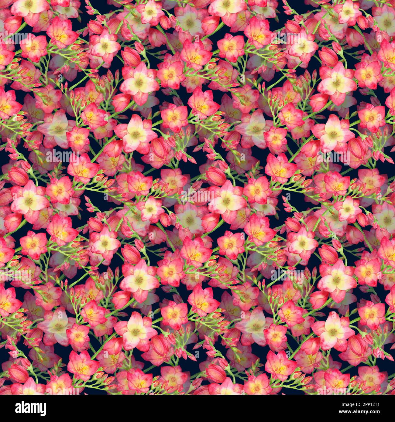 silhouettes rouges de fleurs de freesia, belle branche de bouquet sur fond rose, sans couture, aquarelle. Banque D'Images