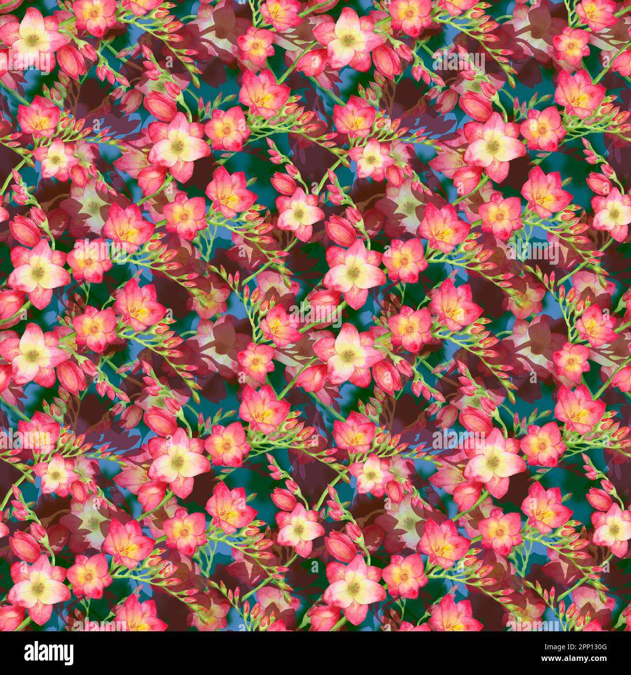 fleurs rouges freesia, belle branche de bouquet sur un fond rouge, sans couture tropic motif aquarelle illustration. Banque D'Images