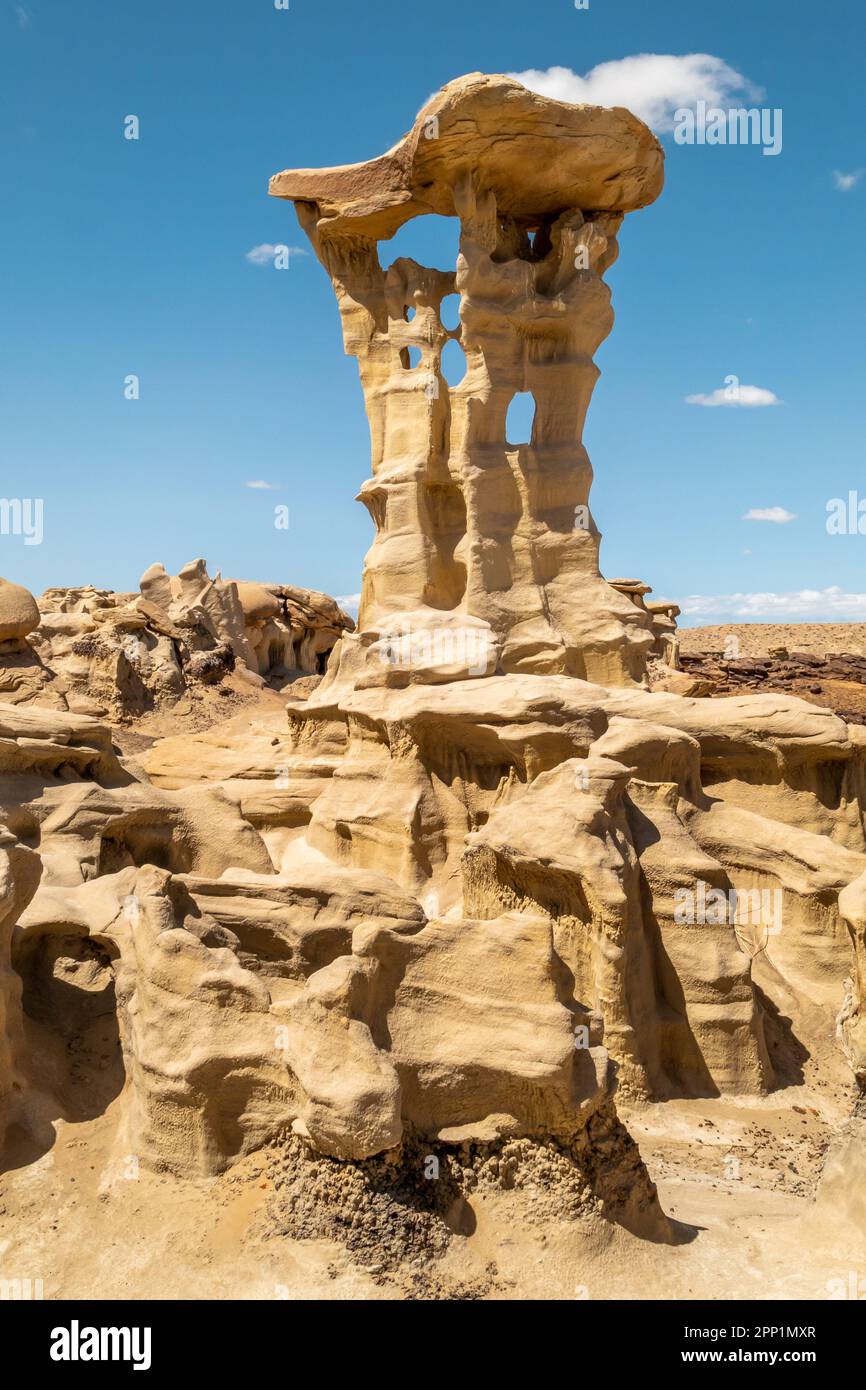 La récompense d'une longue randonnée à travers les badlands arides de Bista Badlands au Nouveau-Mexique sont ces formations géologiques uniques et fous bois pétrifié comme Banque D'Images