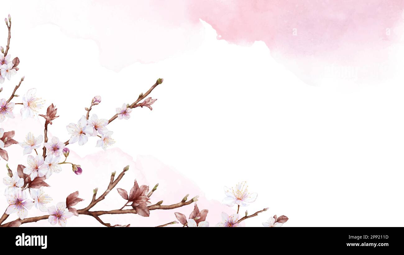 Aquarelle représentant une branche de cerisiers en fleurs et une fleur de sakura rose sur fond de taches. Convient aux bannières décoratives, invitations, affiches ou cartes. Illustration de Vecteur