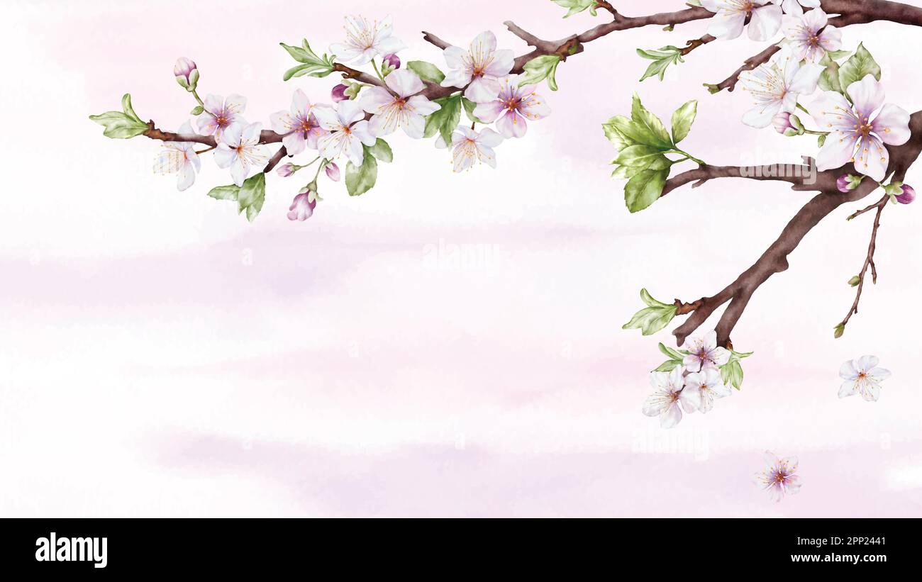 Aquarelle représentant une branche de cerisiers en fleurs et une fleur de sakura rose sur fond de taches. Convient aux bannières décoratives, invitations, affiches ou cartes. Illustration de Vecteur