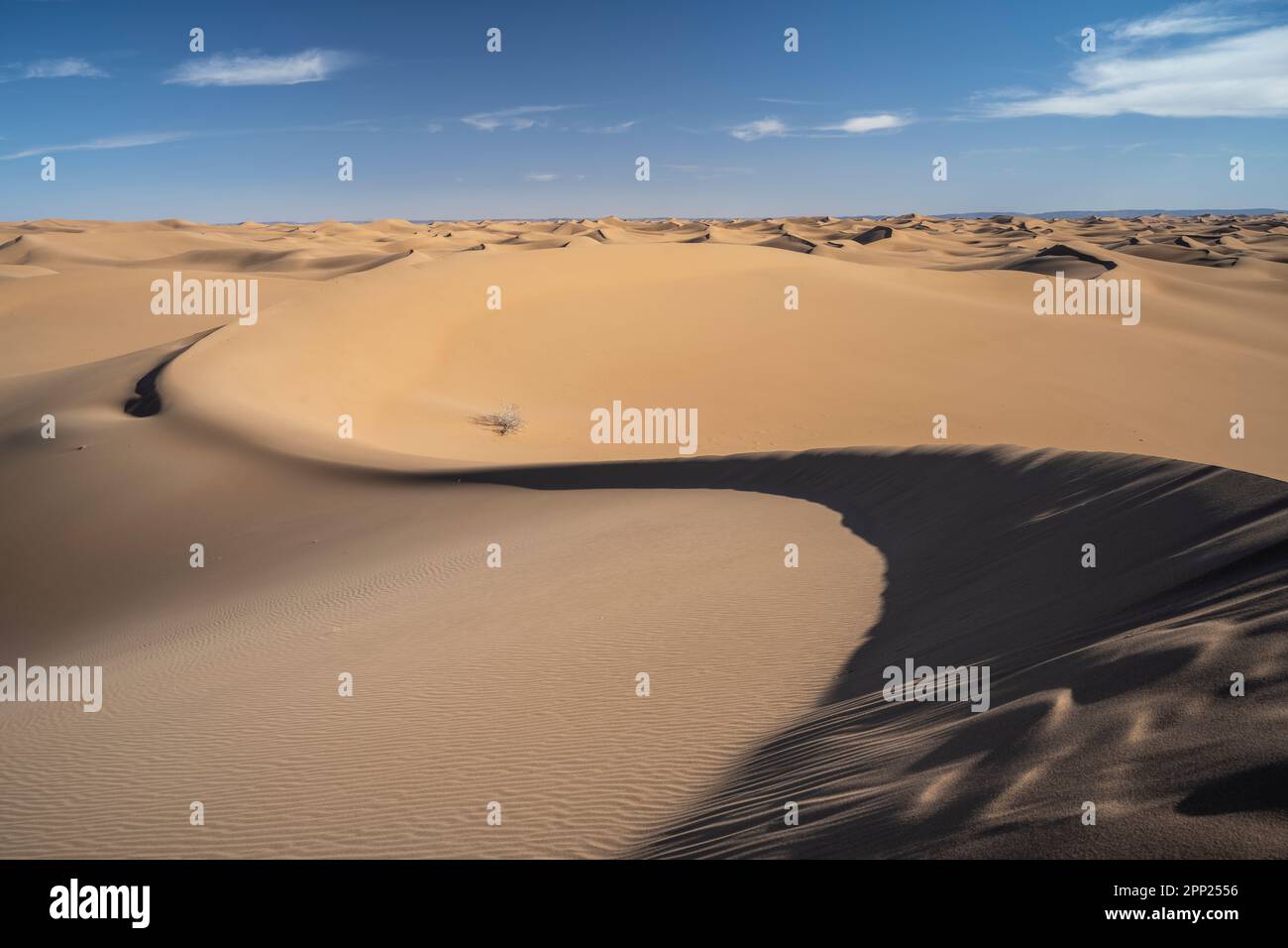 Paysage désertique des dunes d'Erg Chegaga. Banque D'Images