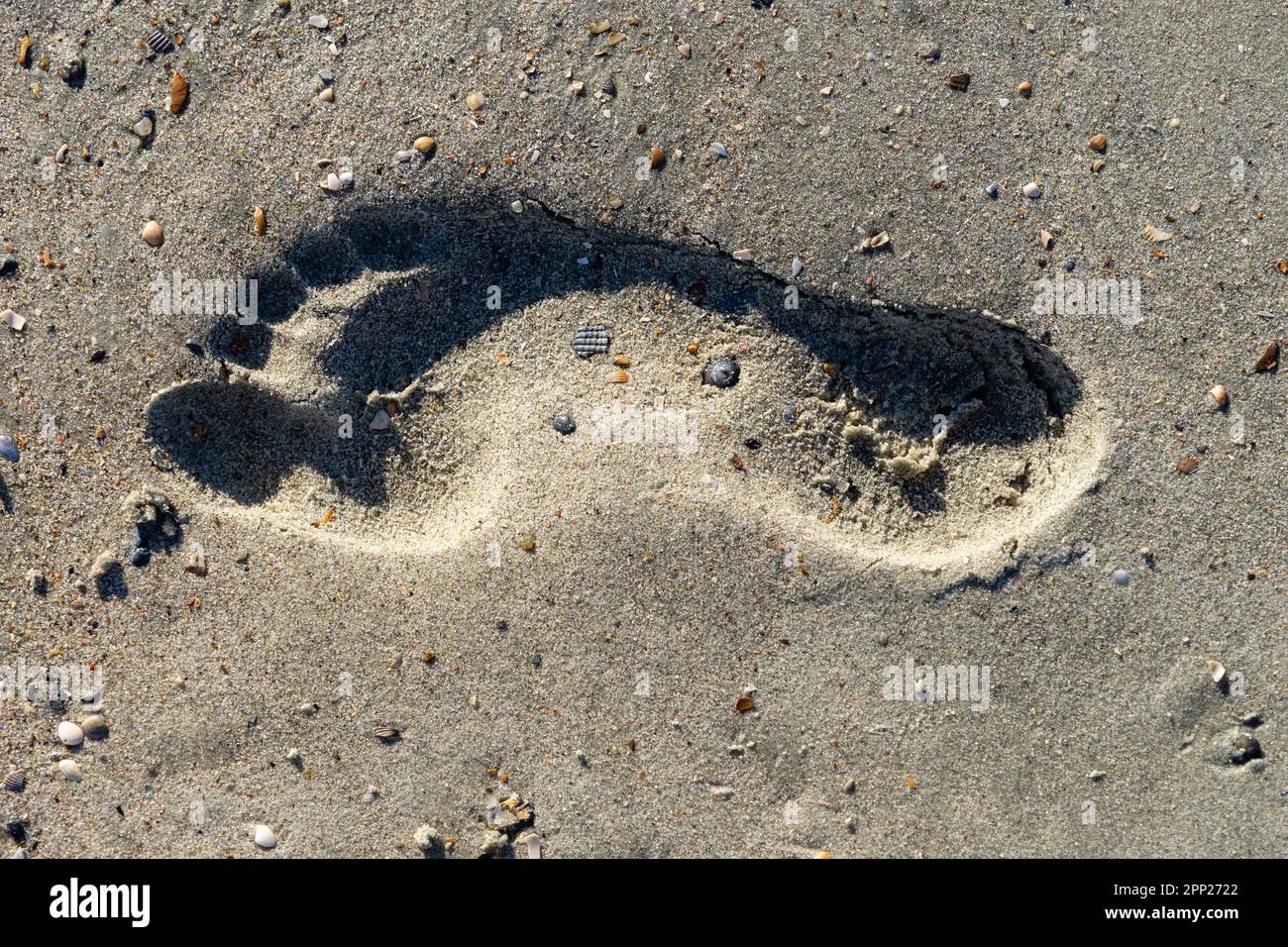 Une empreinte dans le sable sur la plage. Directement au-dessus du cliché. Banque D'Images