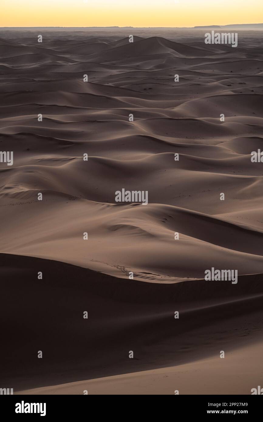 Paysage désertique des dunes d'Erg Chegaga au coucher du soleil. Banque D'Images