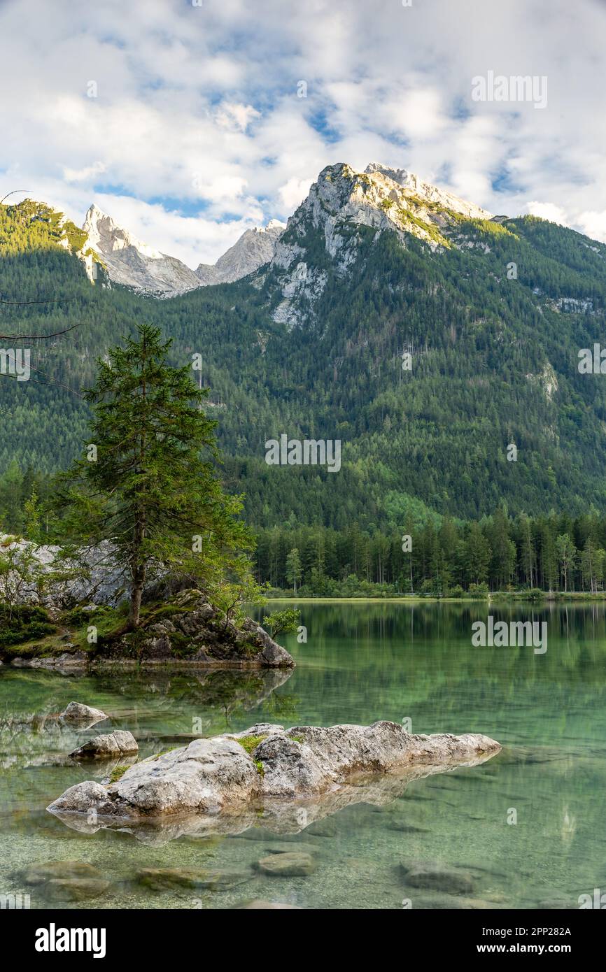 Belle vue sur les arbres dans le lac 'Hintersee' avec les Alpes en arrière-plan, la Bavière, l'Allemagne, l'Europe Banque D'Images